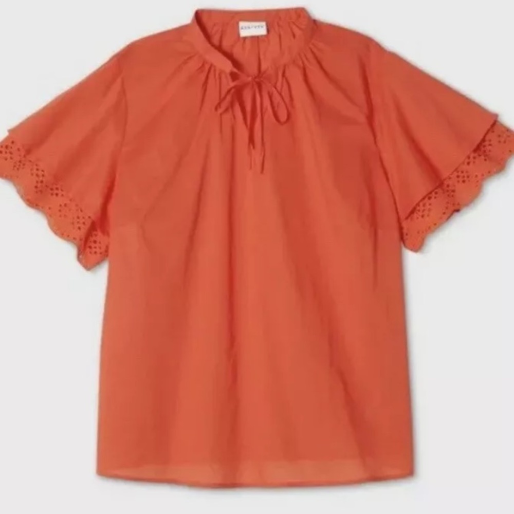 Red Blouse 4x